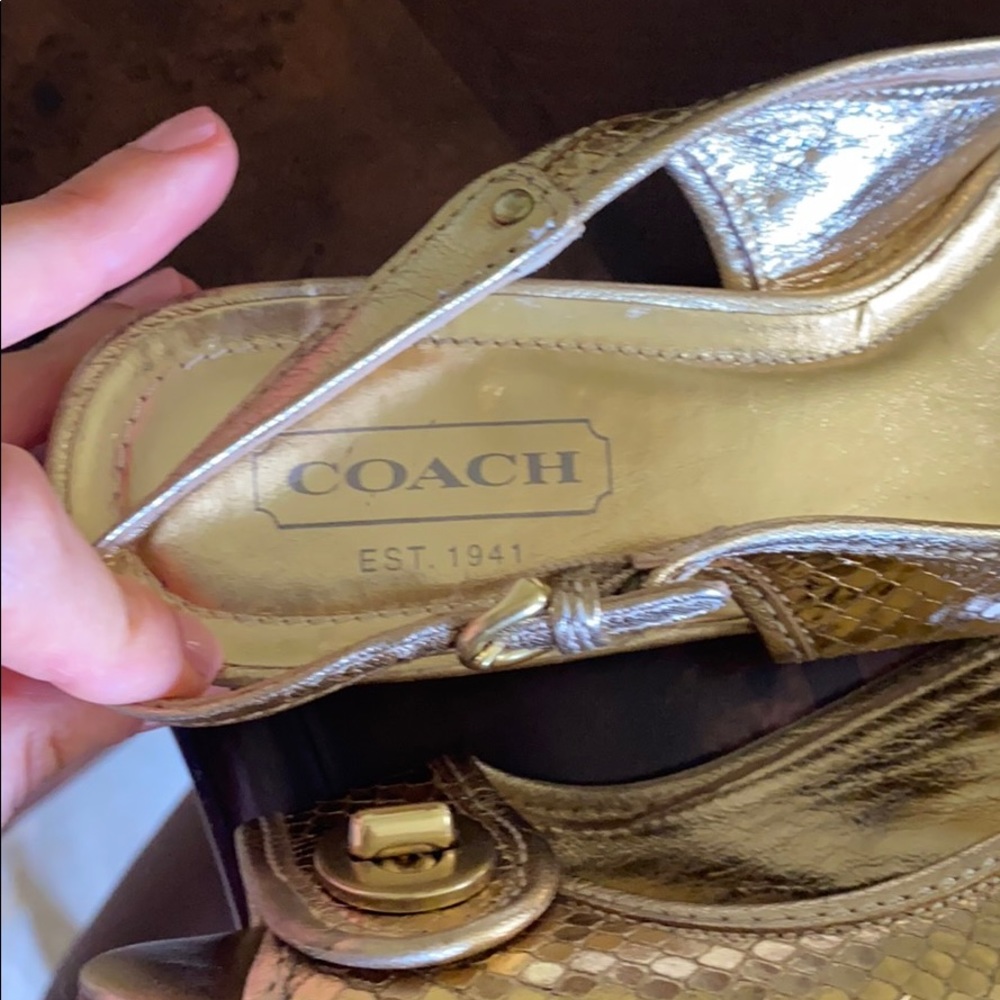 Coach (Made In Italy) Gem
